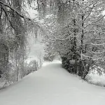 Mistica Σπίτι διακοπών Ponte Di Legno